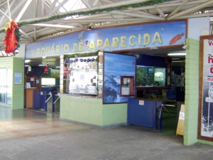 aquario_aparecida